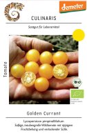 Wildtomate Golden Currant