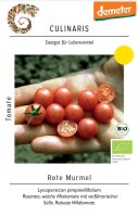 Wildtomate Rote Murmel