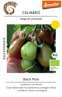 Saucentomate Black Plum