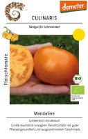 Fleischtomate Mandaline (ehemals Mandarin)