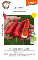 Würzpaprika Poromeo (ehemals Fresno)