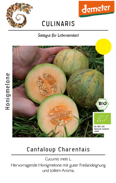 Honigmelone Cantaloup Charentais