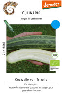 Zucchini Cocozelle von Tripolis