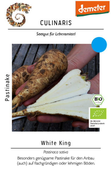 Pastinake White King