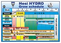 Hesi Hydro Blüte 1 Liter