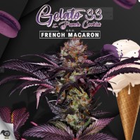 T.H. Seeds French Macaron - Gelato 33 X French Cookies...