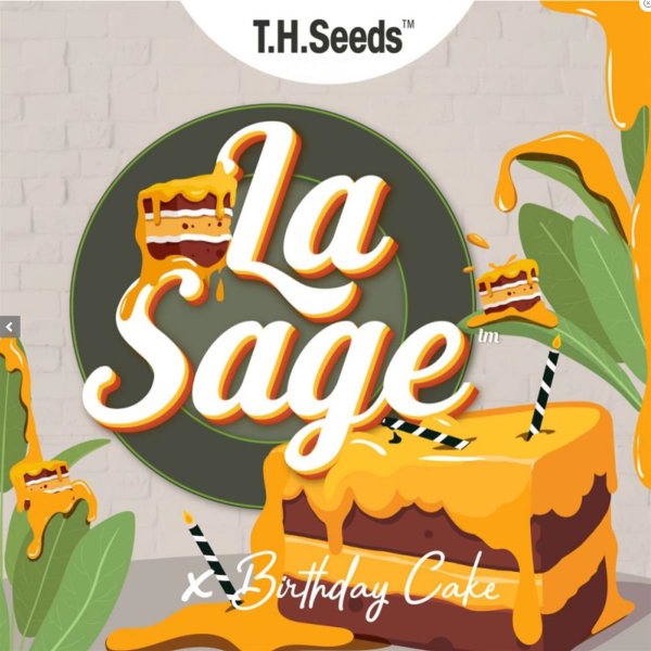 T.H. Seeds La S.A.G.E. Cake Reg. 11St.