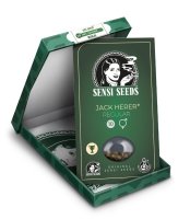 Sensi Seeds Jack Herer Reg. 10St.