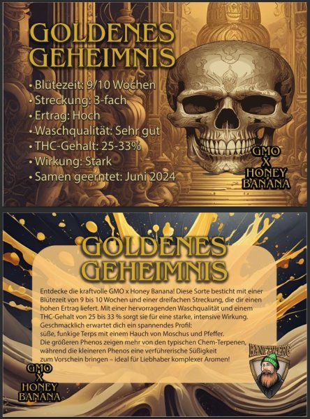 Hanfzwerg Goldenes Geheimnis Fem. 3St.