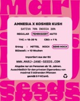 Marj Jane Amnesia X Kosher Kush Fem. 3St.