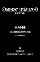 Sticky Experts Hans BuddysOrange Fem 6 St.