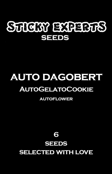 Sticky Experts Auto Dagobert GelatoGoCookie Fem 6St.