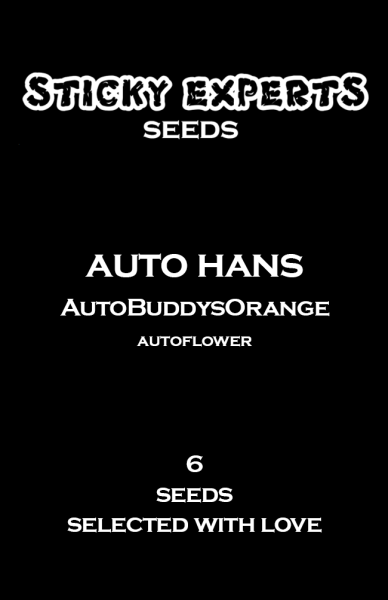 Sticky Experts Auto Hans BuddysOrange Fem 6St.