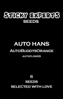 Sticky Experts Auto Hans BuddysOrange Fem 6St.