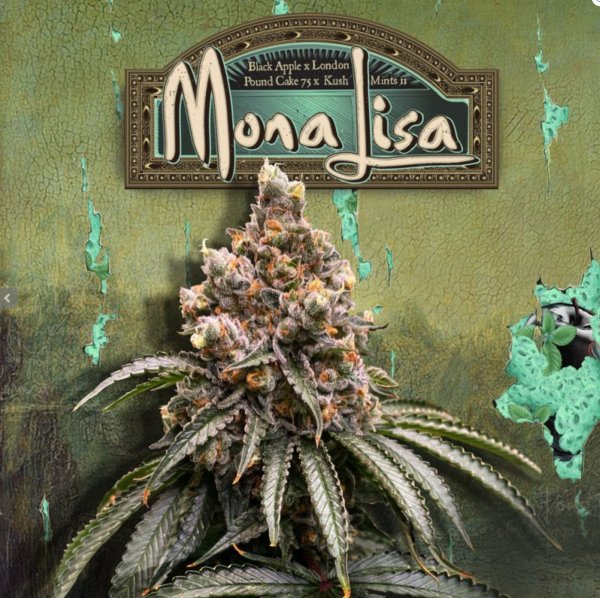 T.H. Seeds Mona Lisa Fem 6St.